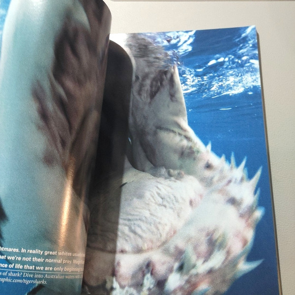 National Geographic Magazine April 2000 Great White Shark Yemen Platypus Nature - Picture 10 of 10